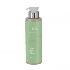 Šampon pro barvené vlasy - RE-BORN Color Save Shampoo 500 ml
