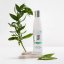 Detoxikační šampon - DSD de Luxe 003 Shampoo 200 ml Detoxikační šampon - DSD de Luxe 003 Shampoo 200 ml