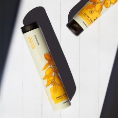 Hydratační arganový šampon - ELGON Argan Supreme Shampoo 250 ml